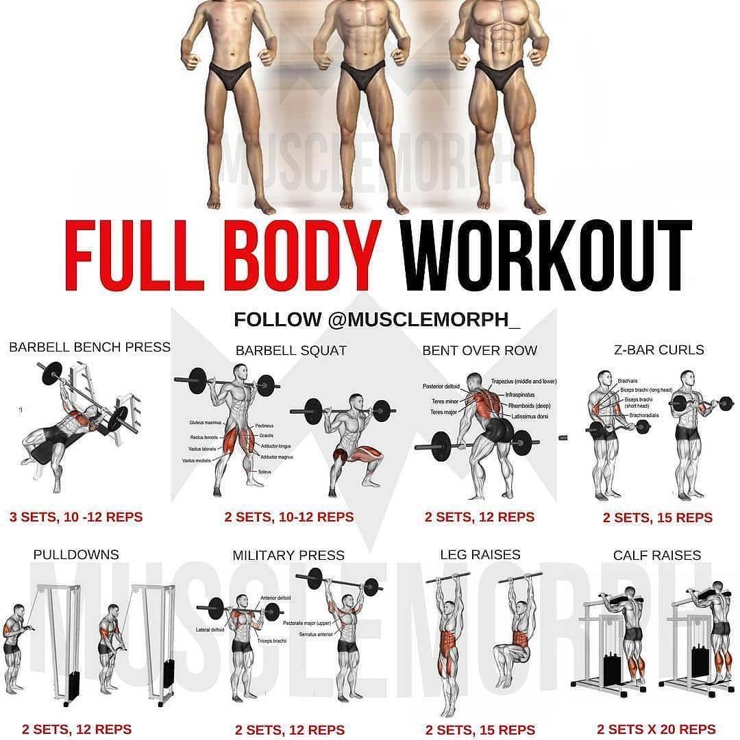 10 Full-Body Workout Routines to Build Strength and Endurance