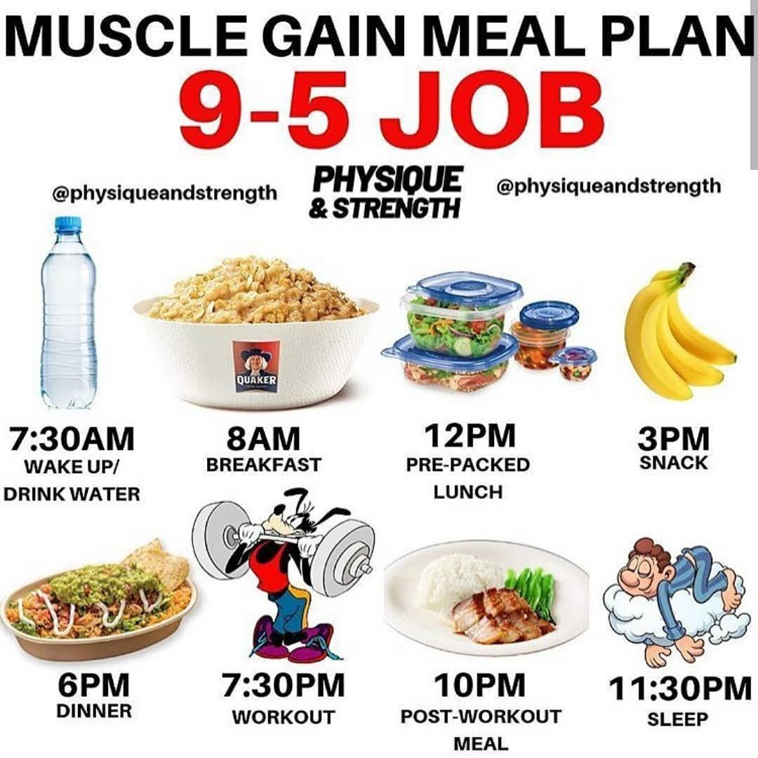 Best Diet Plans for Muscle Gain and Fat Loss