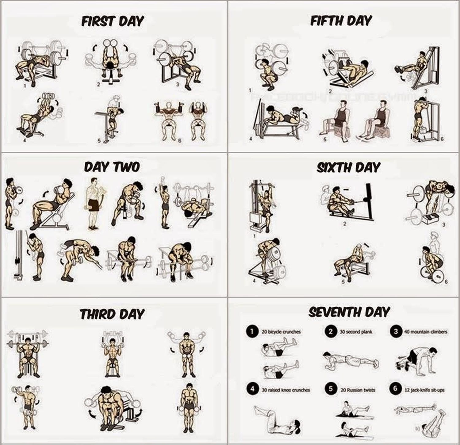 Workout Routines for Building Muscle